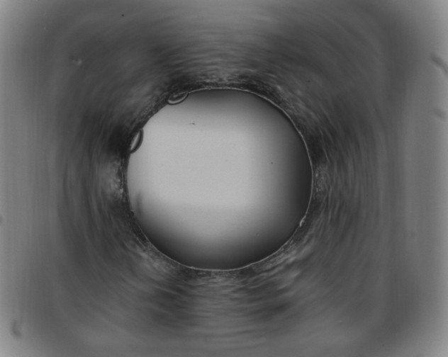 X0000097501202200803071754
