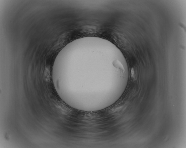 X0000097501203200803071754