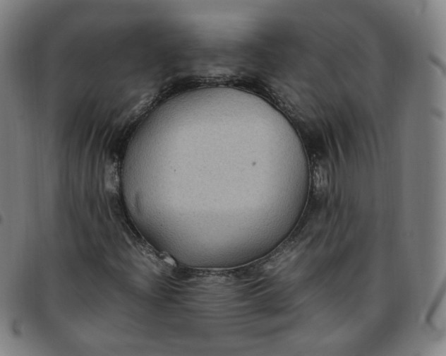 X0000097501204200803071754