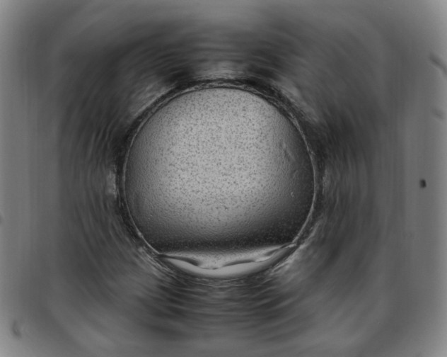 X0000097501209200803071754