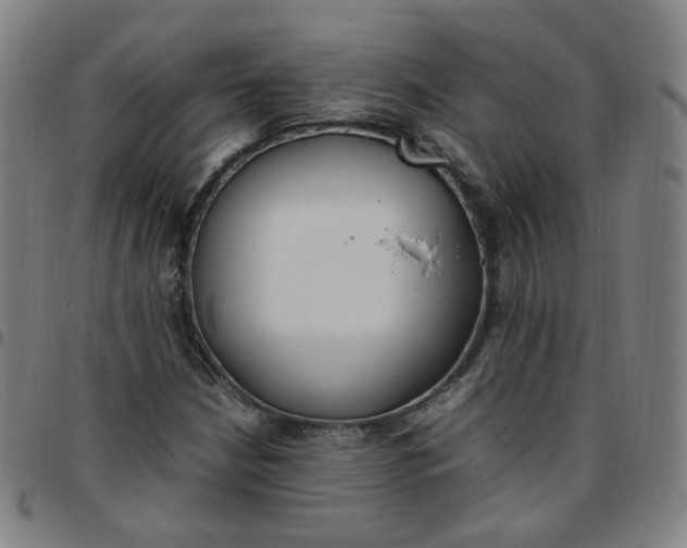 X0000097501210200803071754