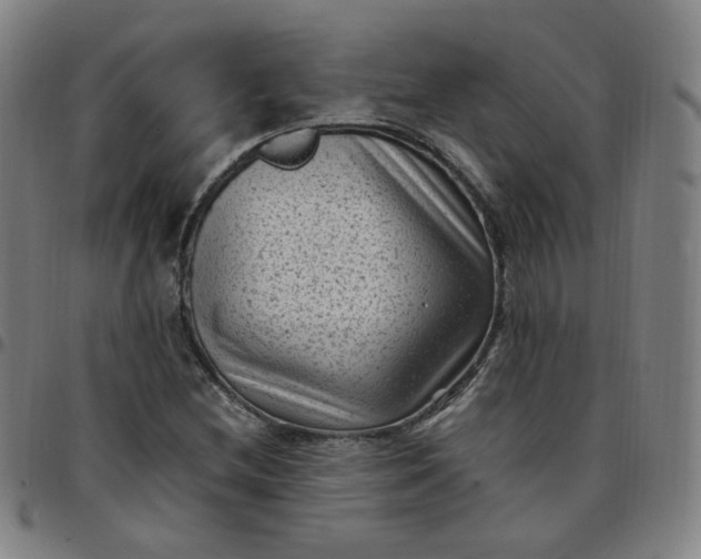 X0000097501212200803071754