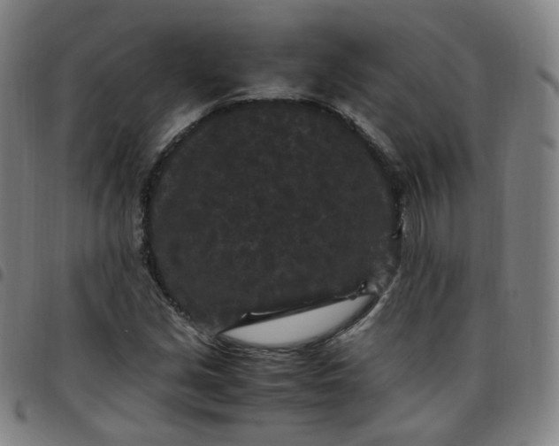 X0000097501213200803071754