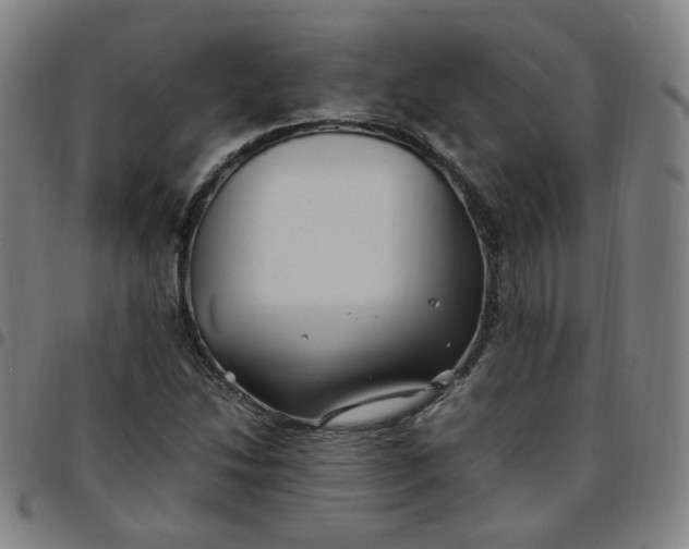 X0000097501214200803071754