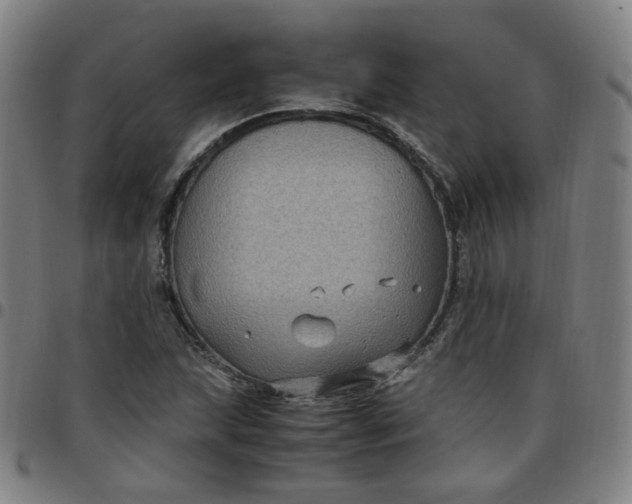 X0000097501215200803071754