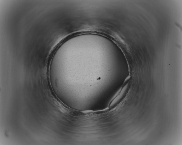 X0000097501216200803071754