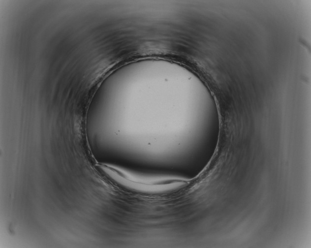 X0000097501217200803071754