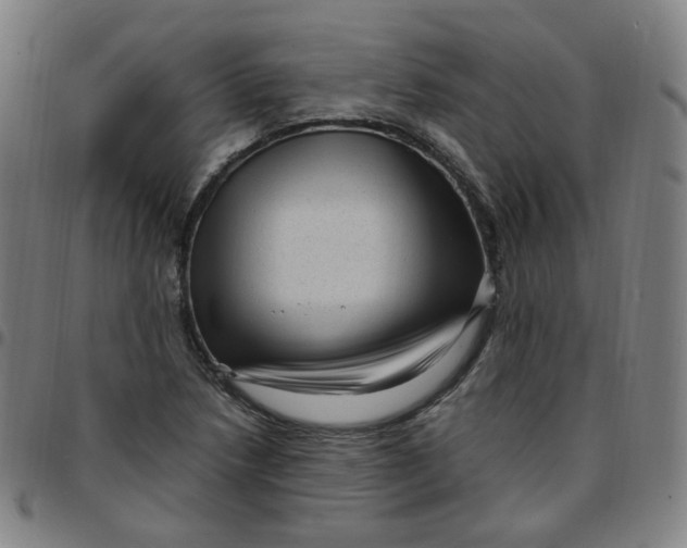 X0000097501218200803071754
