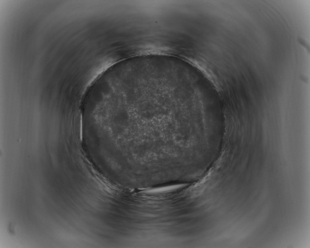 X0000097501219200803071754