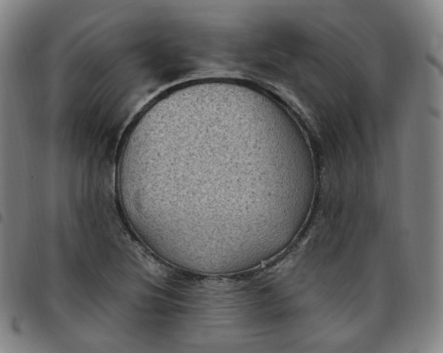 X0000097501220200803071754
