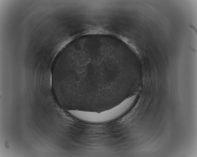 X0000097501221200803071754