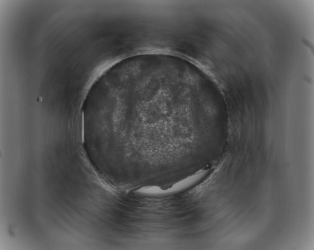 X0000097501223200803071754