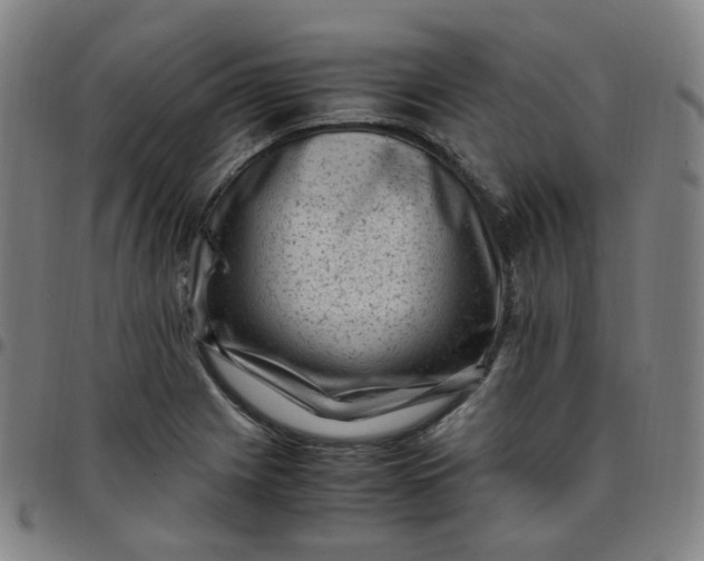 X0000097501225200803071754