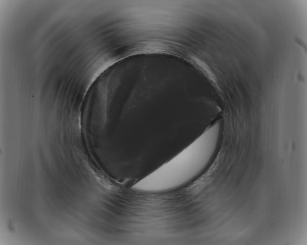X0000097501226200803071754