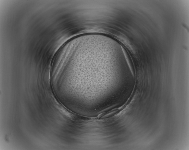 X0000097501228200803071754