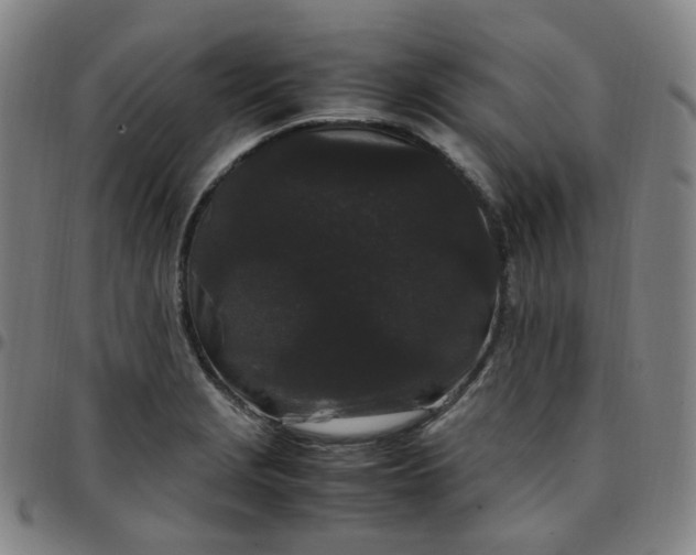 X0000097501229200803071754