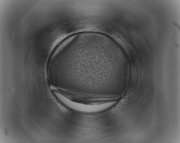 X0000097501230200803071754