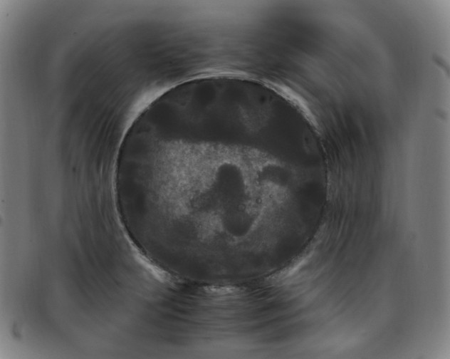X0000097501231200803071754