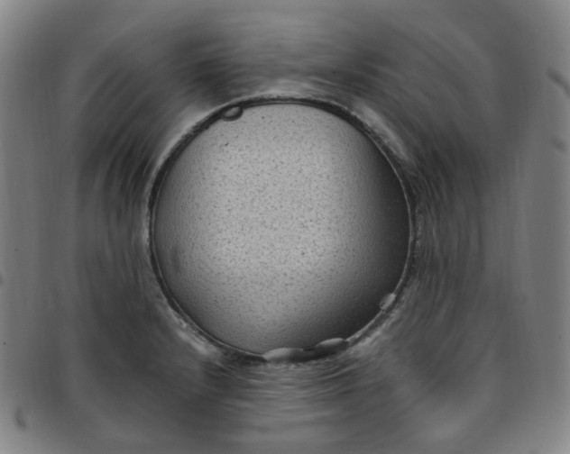 X0000097501232200803071754