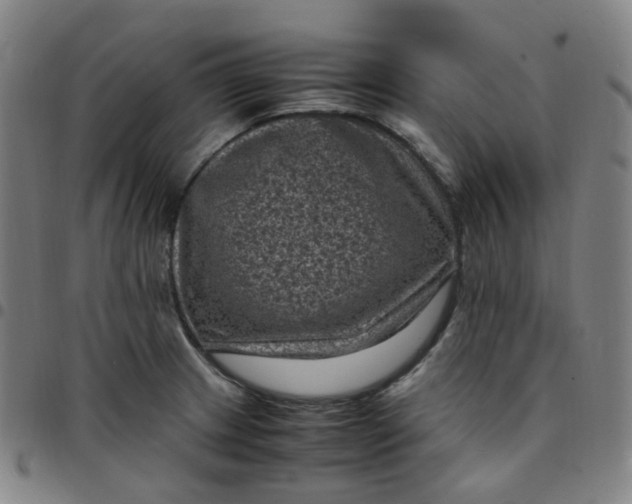 X0000097501233200803071754