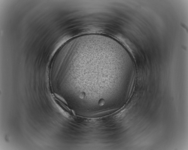 X0000097501235200803071754