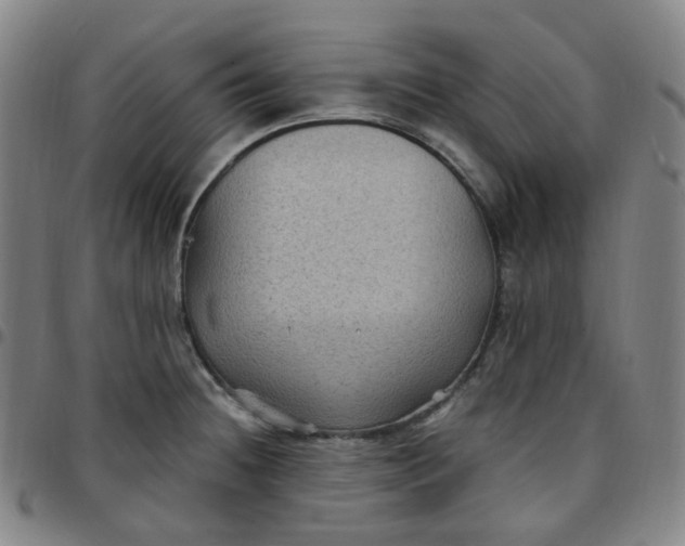 X0000097501236200803071755
