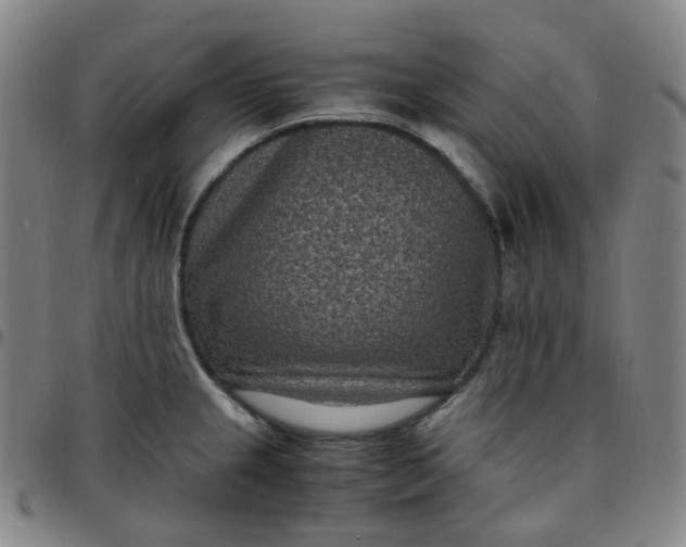 X0000097501237200803071755