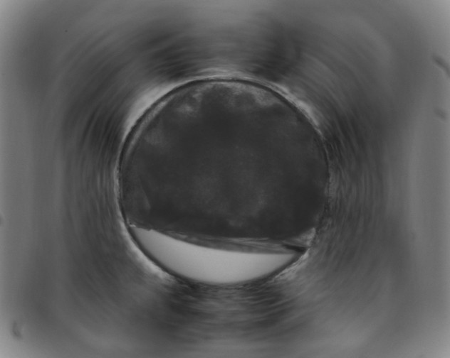 X0000097501239200803071755