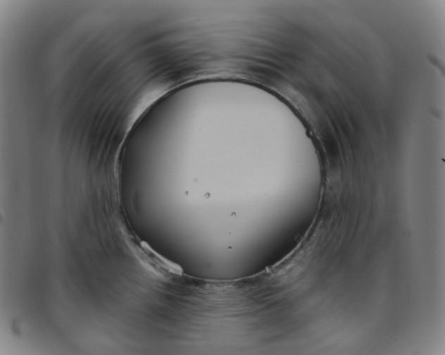 X0000097501242200803071755