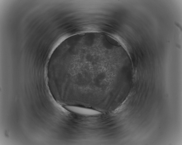 X0000097501243200803071755