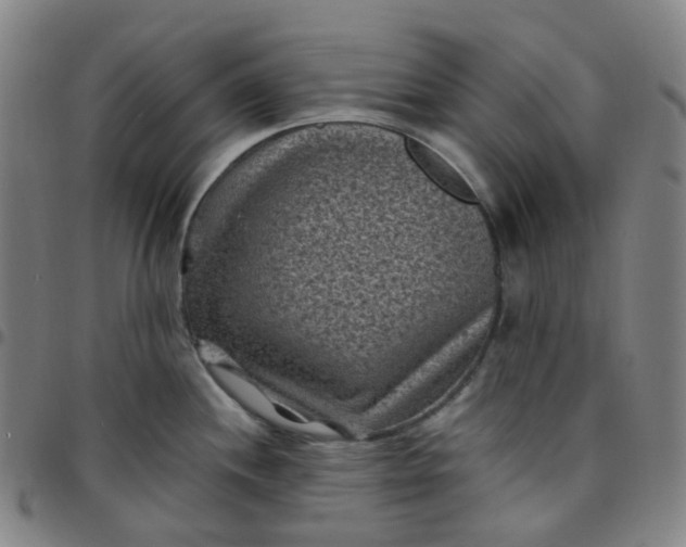X0000097501244200803071755