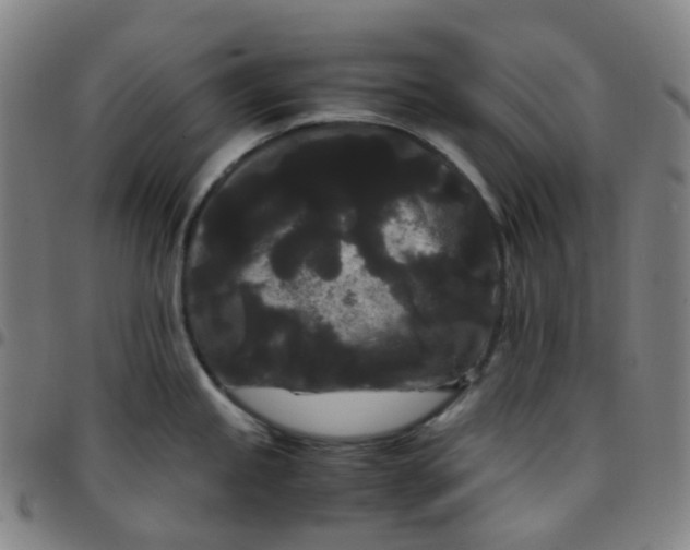 X0000097501245200803071755