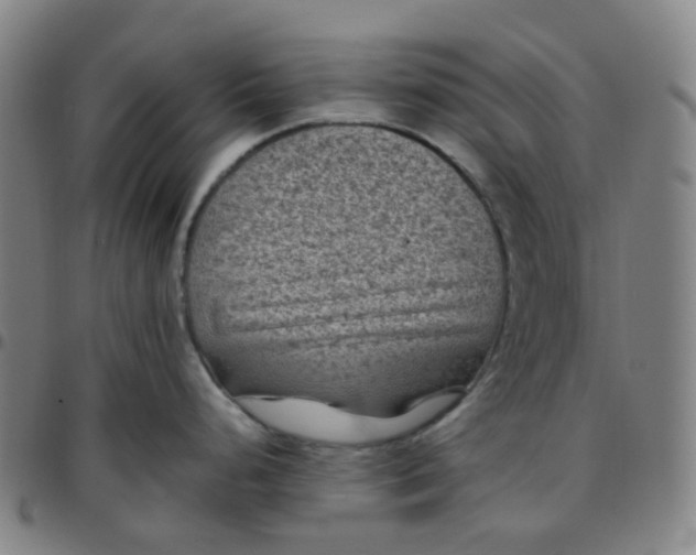 X0000097501248200803071755