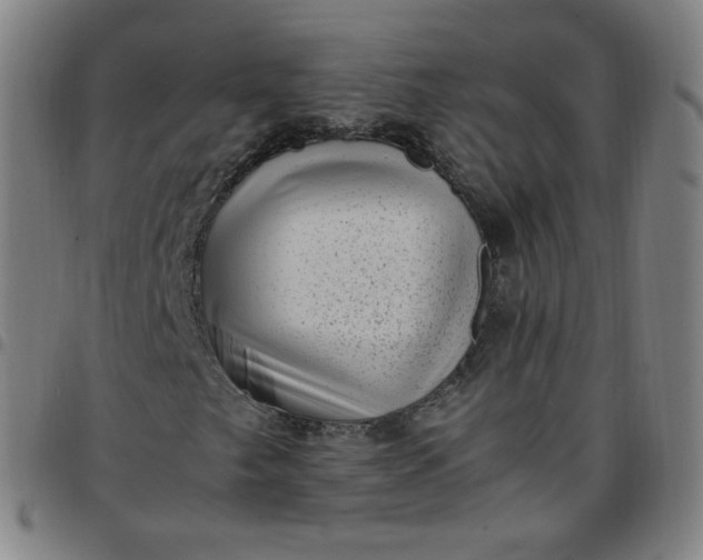 X0000097501249200803071754