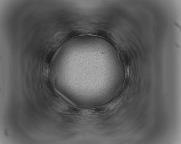 X0000097501251200803071754