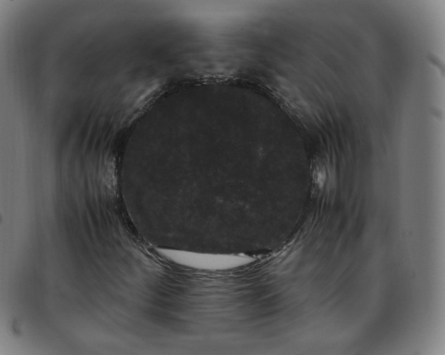 X0000097501252200803071754