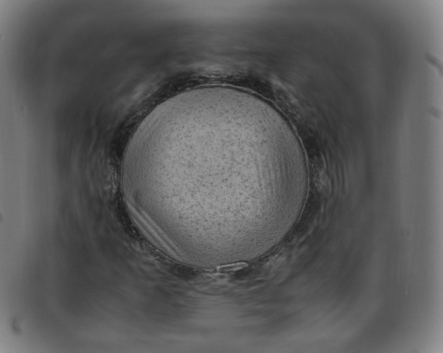 X0000097501253200803071754
