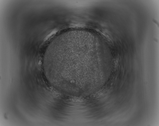 X0000097501254200803071754