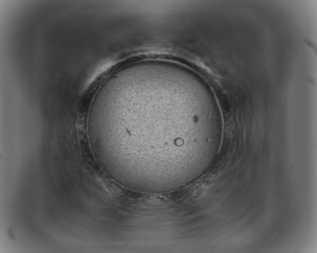 X0000097501255200803071754
