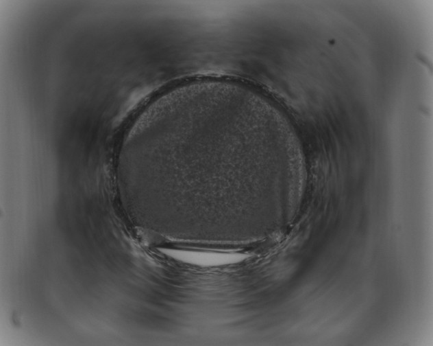 X0000097501256200803071754
