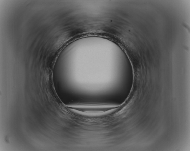 X0000097501257200803071754