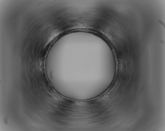 X0000097501258200803071754