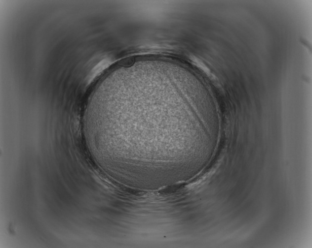 X0000097501259200803071754