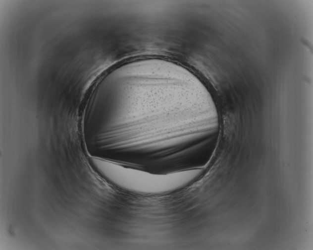 X0000097501260200803071754