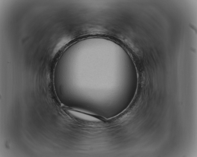 X0000097501261200803071754