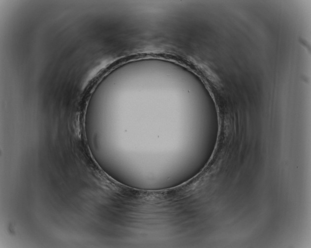 X0000097501262200803071754