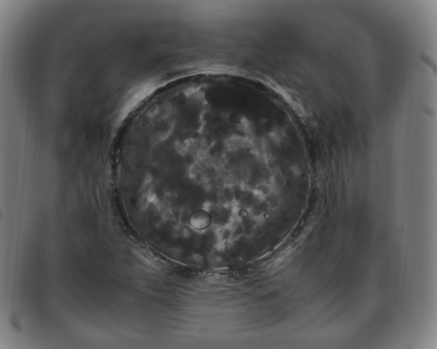 X0000097501263200803071754