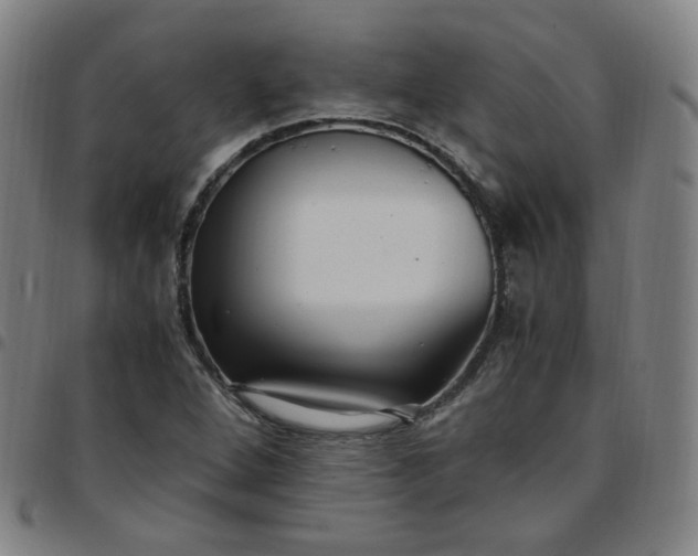 X0000097501264200803071754