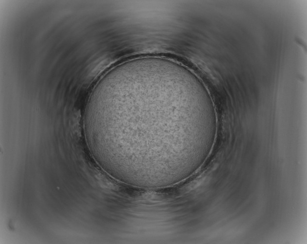 X0000097501265200803071754