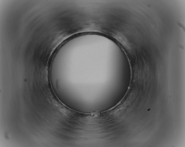 X0000097501268200803071754